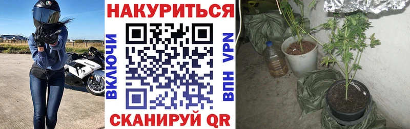 Что такое Чернушка МАРИХУАНА А ПВП Псилоцибиновые грибы Кокаин ГАШИШ