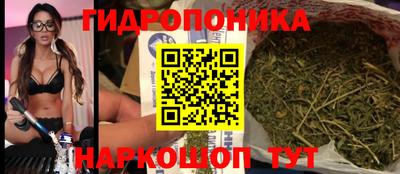 шишки Пугачёв