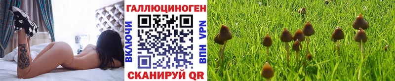 купить наркоту  omg   Псилоцибиновые грибы мухоморы  Чернушка 