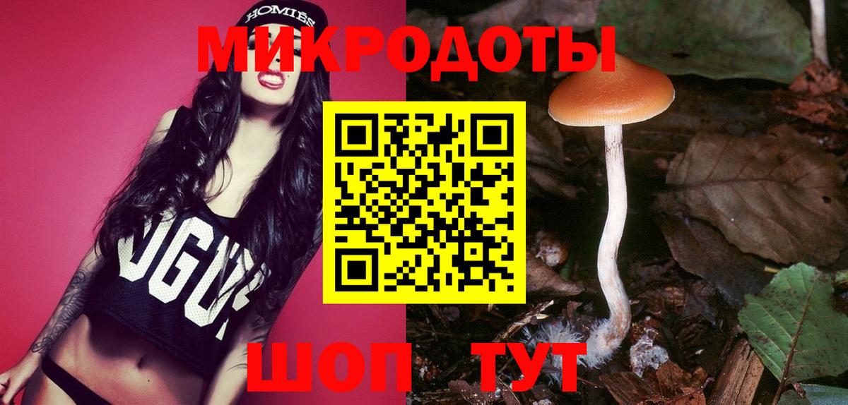 Псилоцибиновые грибы Psilocybine cubensis Чернушка