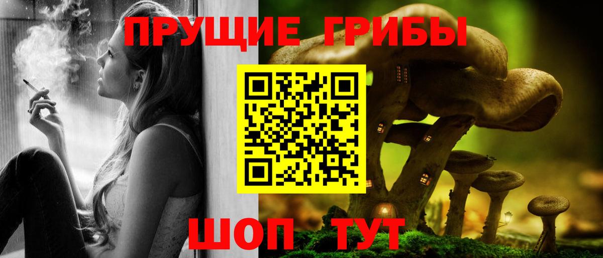 Чернушка  Псилоцибиновые грибы GOLDEN TEACHER  Вход с VPN  Псилоцибиновые грибы мухоморы 