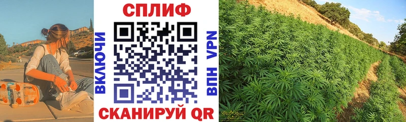 Бошки марихуана Bruce Banner  Чернушка 